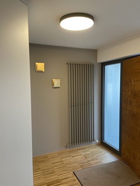 Eingangsbereich mit Haustüre neu verputzt und gestrichen