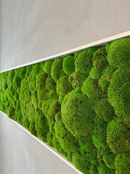 Wandgestaltung mit Moos in einem Bilderrahmen